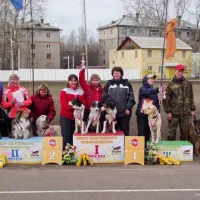 Федерация спортивно-прикладного собаководства Пермского края Фото 2 на проекте Perm.vetspravka.ru Федерация спортивно-прикладного собаководства Пермского края Фото 2 на проекте Perm.vetspravka.ru
