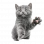 Камская долина