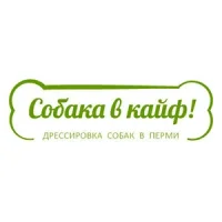 Дрессировка собак любых пород Собака в кайф Фото 2 на проекте Perm.vetspravka.ru Дрессировка собак любых пород Собака в кайф Фото 2 на проекте Perm.vetspravka.ru