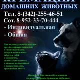 Крематорий для домашних животных Зоопрах  на проекте VetSpravka.ru