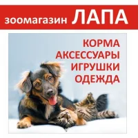 Зоосалон Лапа на проекте Perm.vetspravka.ru Зоосалон Лапа на проекте Perm.vetspravka.ru