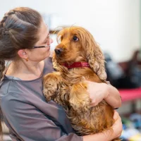 Груминг-студия Dog is Dog Фото 2 на проекте Perm.vetspravka.ru Груминг-студия Dog is Dog Фото 2 на проекте Perm.vetspravka.ru