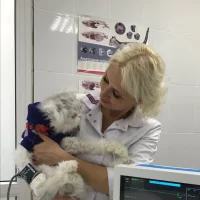 Ветеринарная клиника Дойче Вет на Хабаровской улице Фото 2 на проекте Perm.vetspravka.ru Ветеринарная клиника Дойче Вет на Хабаровской улице Фото 2 на проекте Perm.vetspravka.ru