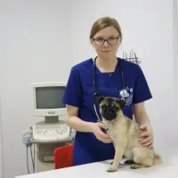 Ветеринарная клиника ВЕТСИТИ Фото 2 на проекте Perm.vetspravka.ru Ветеринарная клиника ВЕТСИТИ Фото 2 на проекте Perm.vetspravka.ru