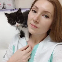 Ветеринарная клиника Аляска Фото 2 на проекте Perm.vetspravka.ru Ветеринарная клиника Аляска Фото 2 на проекте Perm.vetspravka.ru
