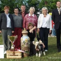 Ветеринарно-консультационный центр Фото 2 на проекте Perm.vetspravka.ru Ветеринарно-консультационный центр Фото 2 на проекте Perm.vetspravka.ru